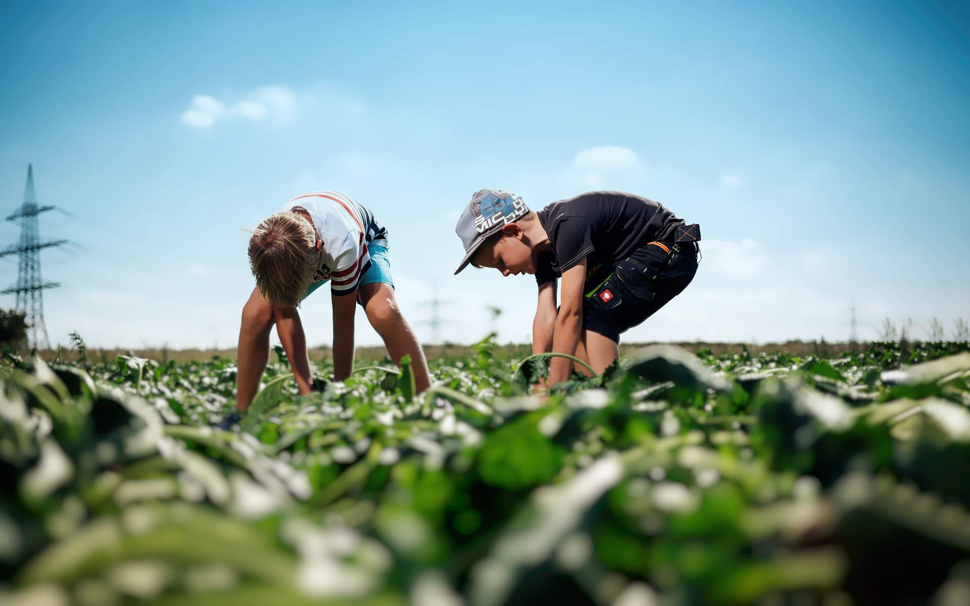 verein-heimat-erhalten-erlangen-bg-4-1920x1200